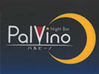 Night Bar Palvino